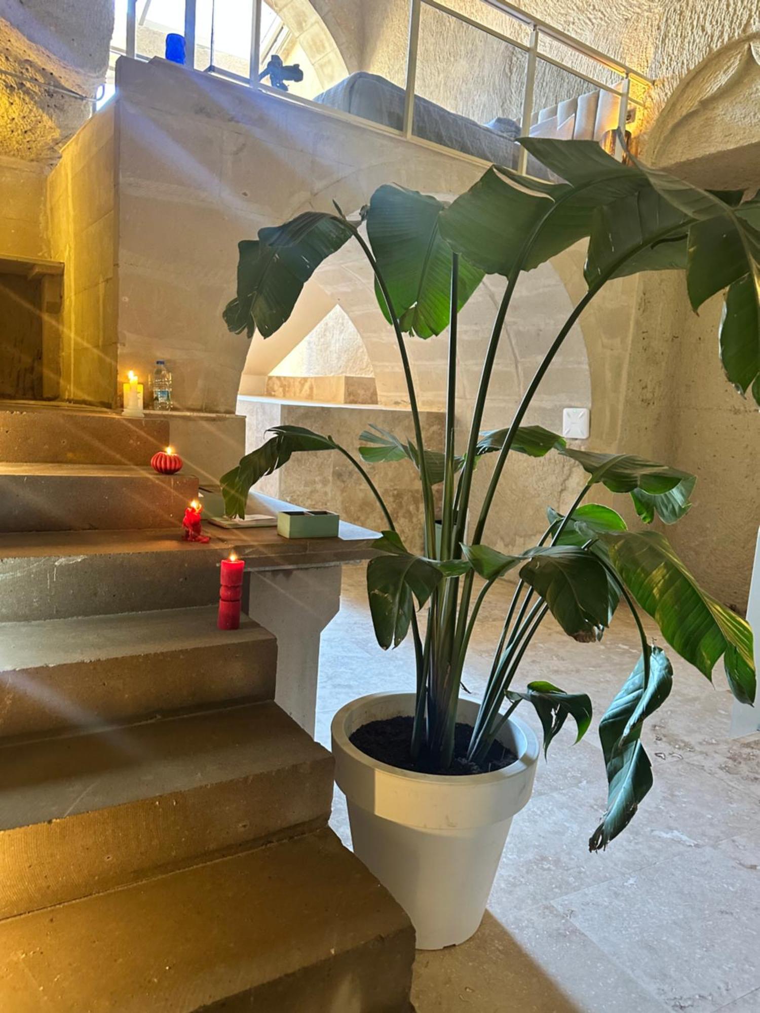Be Still Alexa Smart Luxury Escape Adults Only نفسهير المظهر الخارجي الصورة